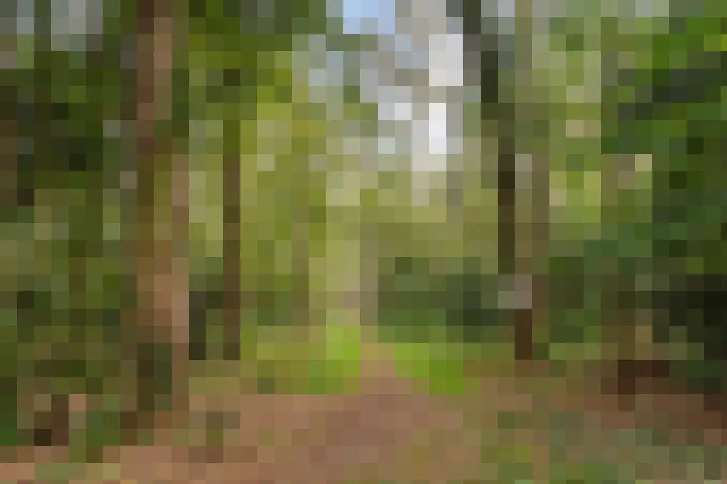 Johan van Limbeecklaan 13 Driebergen-Rijsenburg thumbnail 48