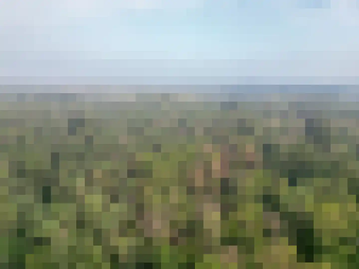 Johan van Limbeecklaan 13 Driebergen-Rijsenburg thumbnail 49