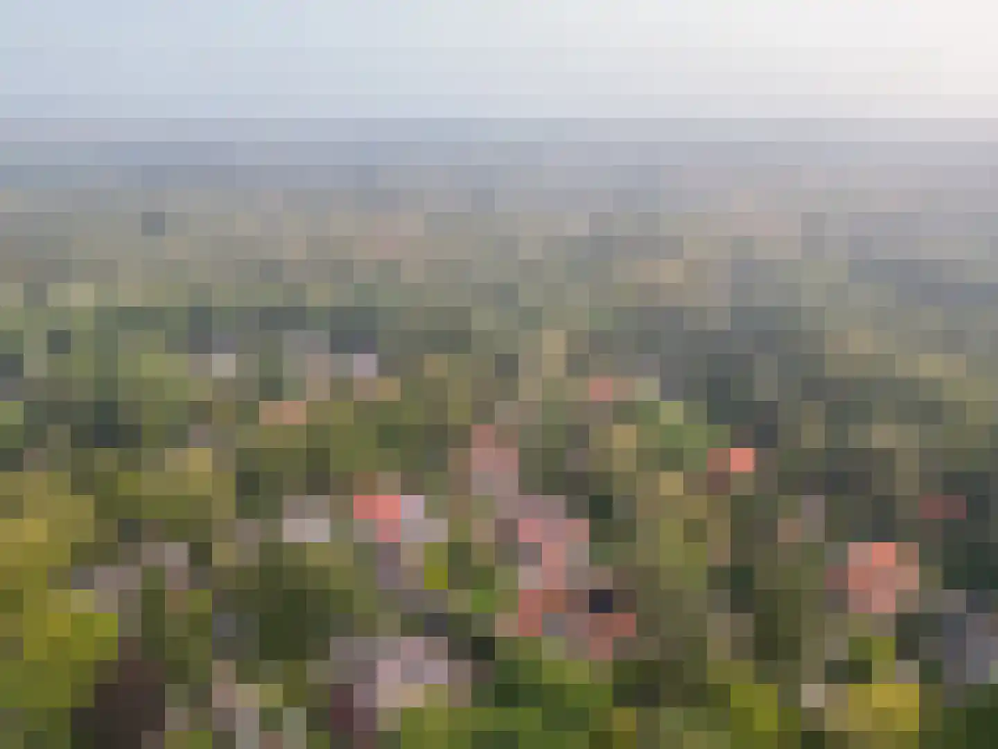 Johan van Limbeecklaan 13 Driebergen-Rijsenburg thumbnail 50