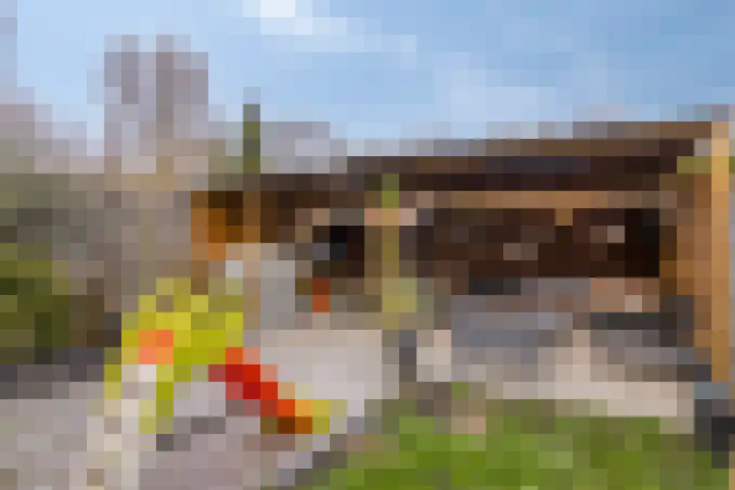 Johan van Oldenbarneveldtlaan 48 Uithoorn thumbnail 30