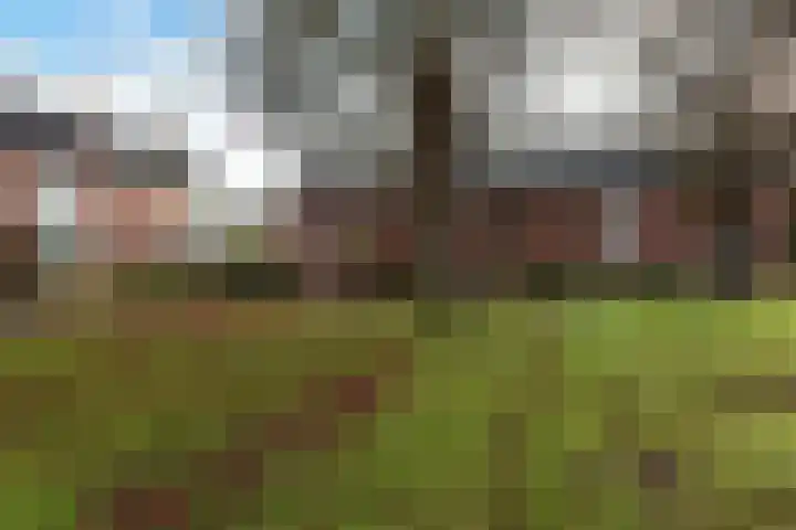 Johan van Oldenbarneveldtlaan 64 Uithoorn thumbnail 22