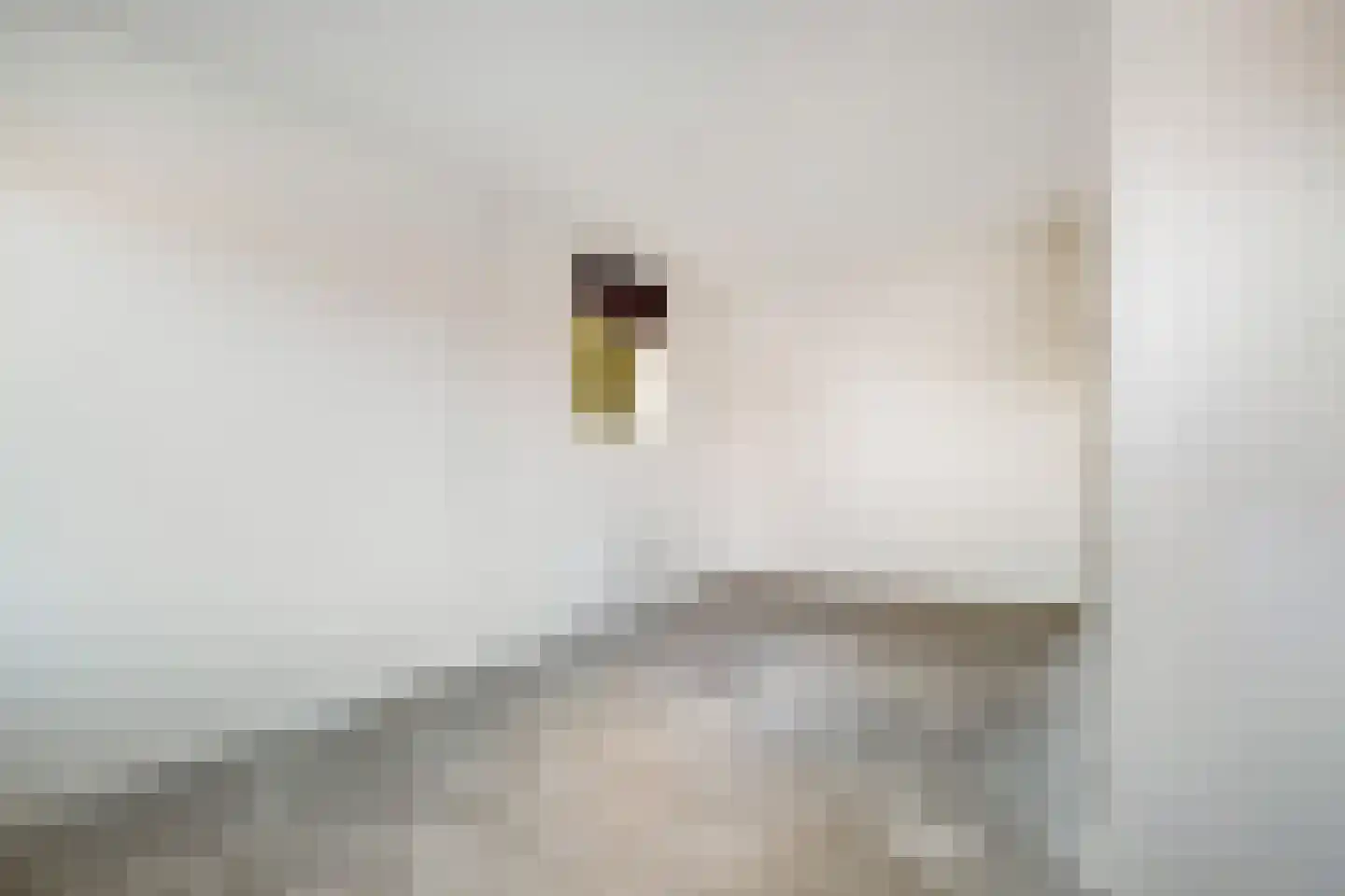 Johan van Oldenbarneveldtstraat 1 C Honselersdijk thumbnail 18