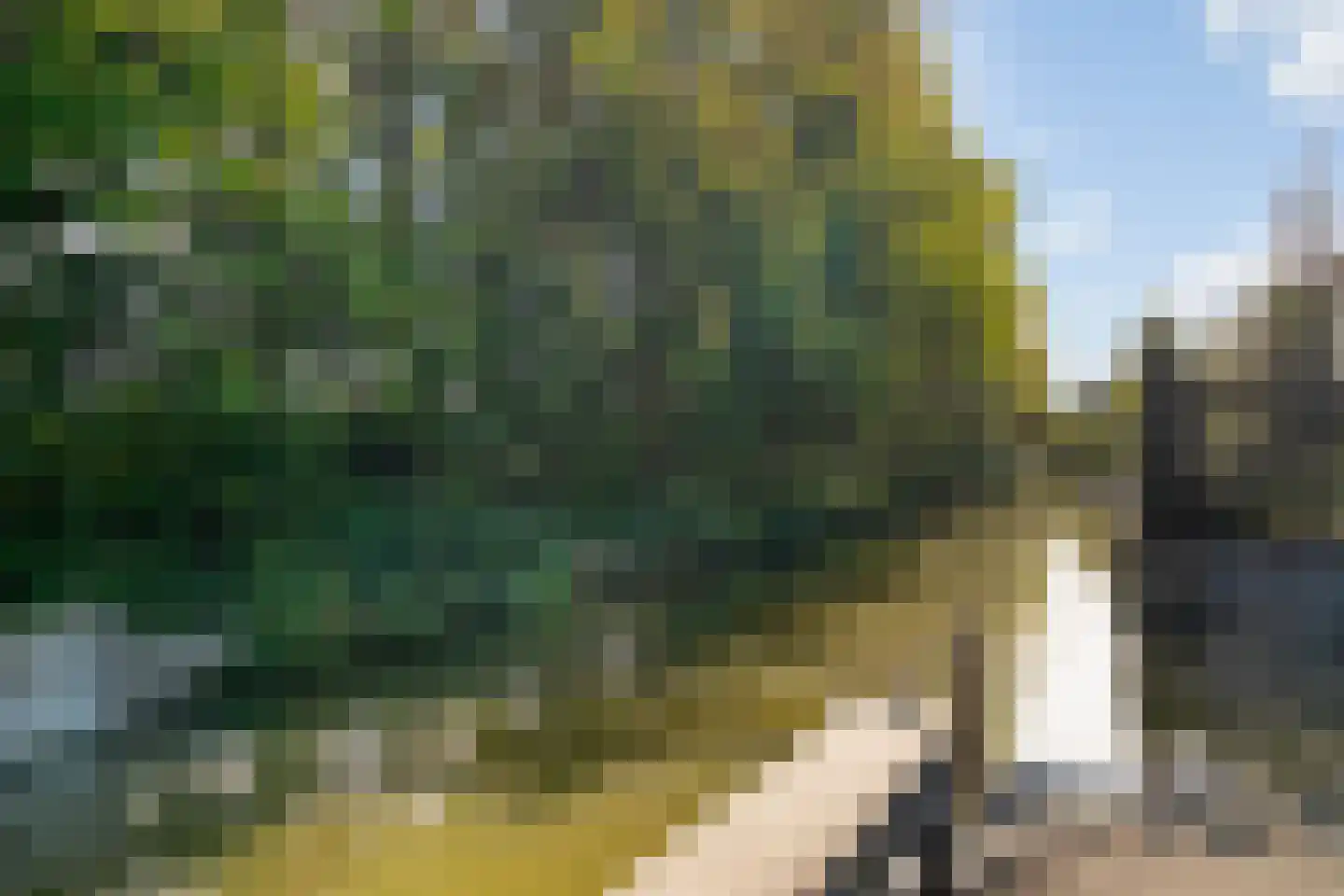Johan van Oldenbarneveldtstraat 1 C Honselersdijk thumbnail 33