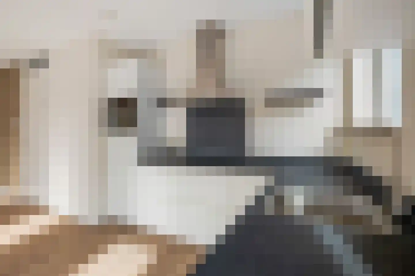 Johan van Oldenbarneveldtstraat 1 C Honselersdijk thumbnail 6