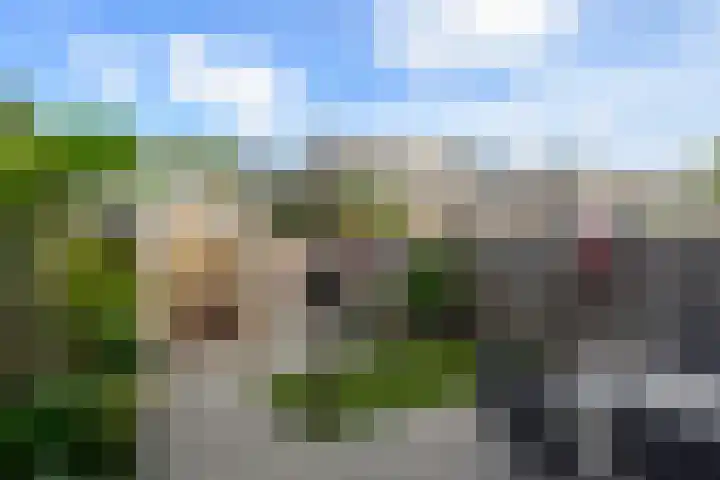 Johan van Oldenbarneveldtstraat 17 Honselersdijk thumbnail 10