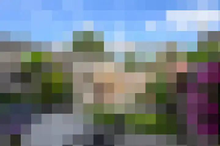 Johan van Oldenbarneveldtstraat 17 Honselersdijk thumbnail 11