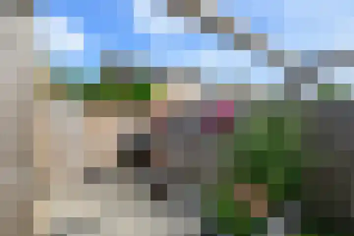 Johan van Oldenbarneveldtstraat 17 Honselersdijk thumbnail 12