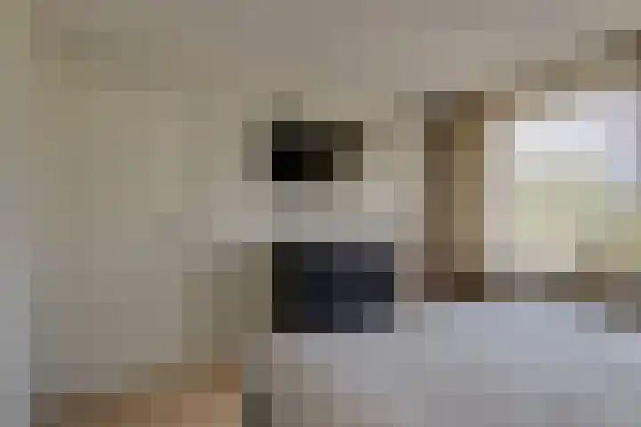 Johan van Oldenbarneveldtstraat 17 Honselersdijk thumbnail 18