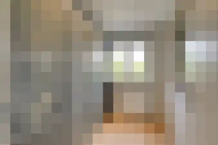 Johan van Oldenbarneveldtstraat 17 Honselersdijk thumbnail 22
