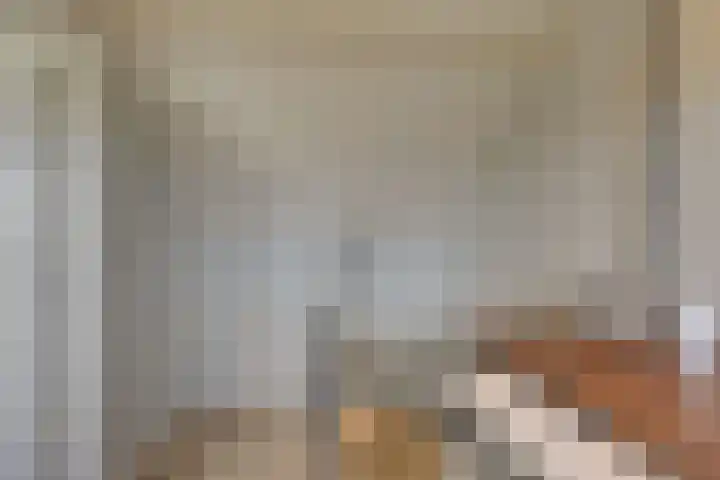 Johan van Oldenbarneveldtstraat 17 Honselersdijk thumbnail 27