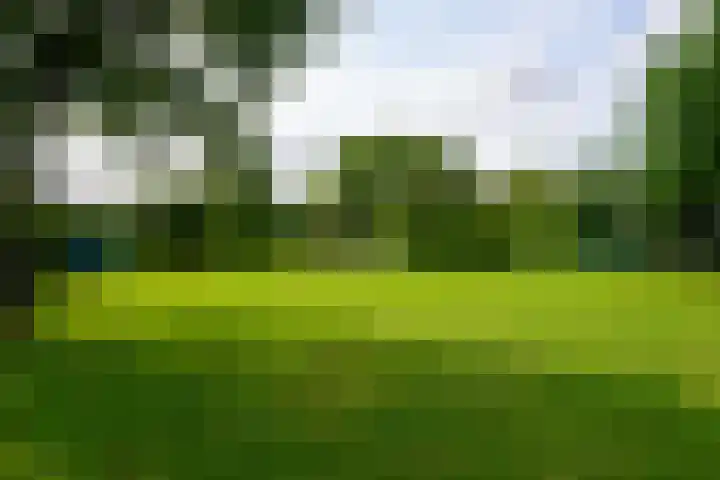 Johan van Oldenbarneveldtstraat 17 Honselersdijk thumbnail 28