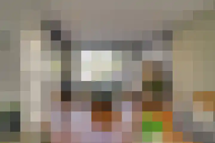 Johan van Oldenbarneveldtstraat 17 Honselersdijk thumbnail 4