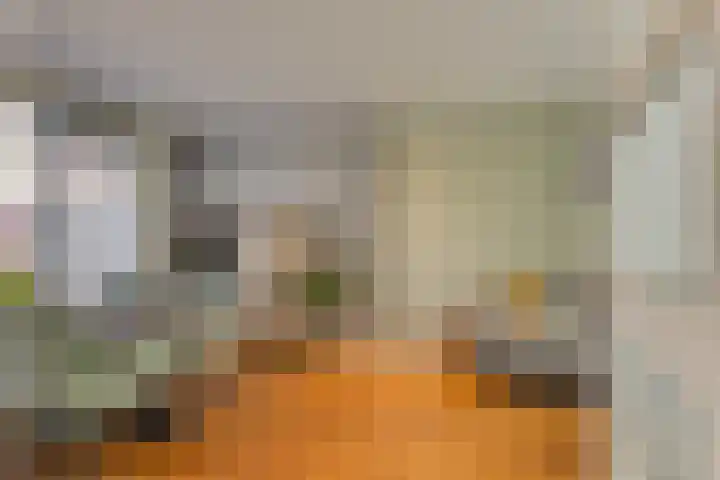 Johan van Oldenbarneveldtstraat 17 Honselersdijk thumbnail 5
