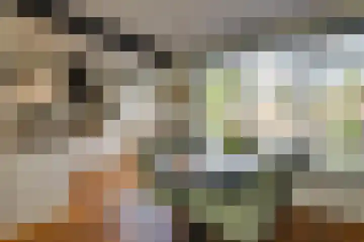 Johan van Oldenbarneveldtstraat 17 Honselersdijk thumbnail 6