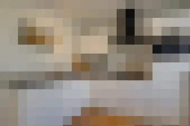 Johan van Oldenbarneveldtstraat 17 Honselersdijk thumbnail 7