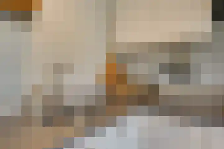 Johan van Oldenbarneveldtstraat 17 Honselersdijk thumbnail 8