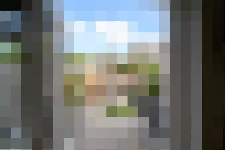 Johan van Oldenbarneveldtstraat 17 Honselersdijk thumbnail 9