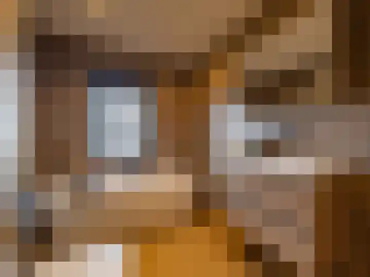 Johan van Oldenbarneveldtstraat 23 Zutphen thumbnail 16