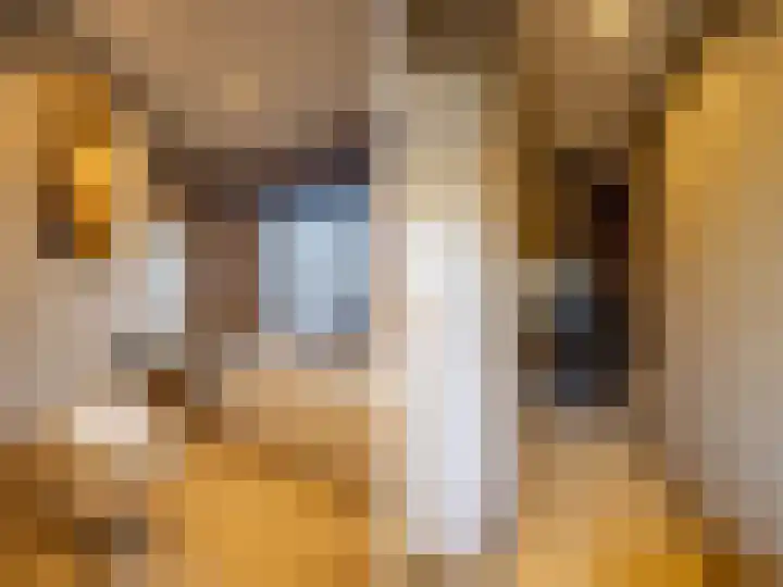 Johan van Oldenbarneveldtstraat 23 Zutphen thumbnail 17
