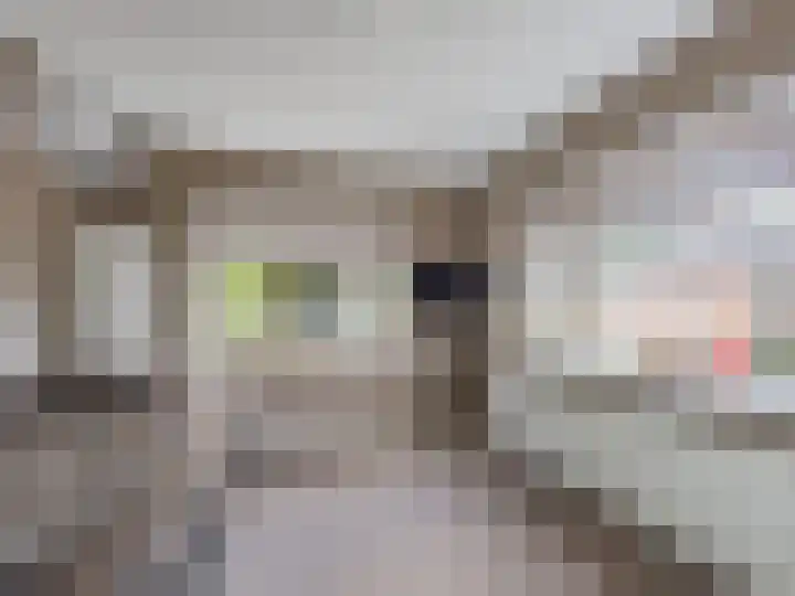 Johan van Oldenbarneveldtstraat 23 Zutphen thumbnail 19