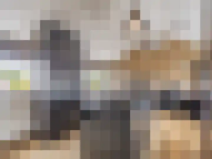 Johan van Oldenbarneveldtstraat 23 Zutphen thumbnail 20