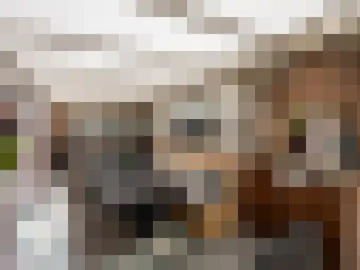 Johan van Oldenbarneveldtstraat 23 Zutphen thumbnail 23