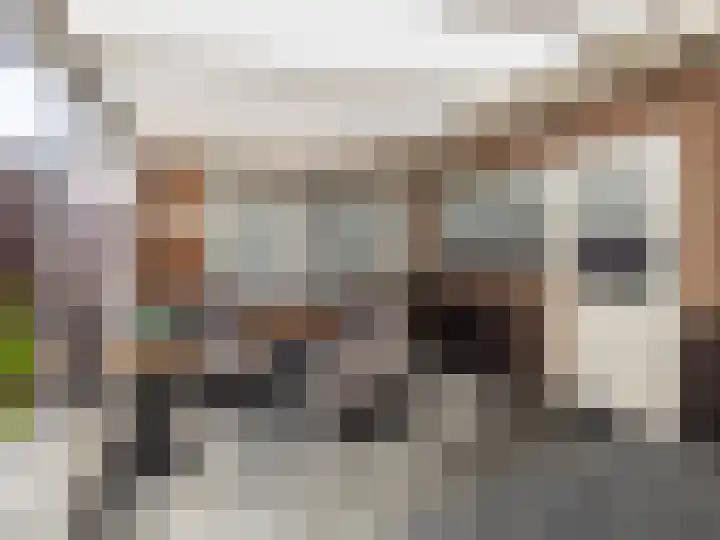 Johan van Oldenbarneveldtstraat 23 Zutphen thumbnail 24