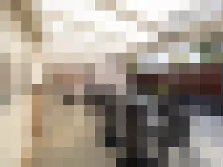 Johan van Oldenbarneveldtstraat 23 Zutphen thumbnail 25