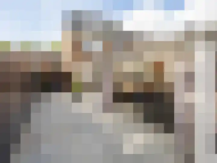 Johan van Oldenbarneveldtstraat 23 Zutphen thumbnail 28