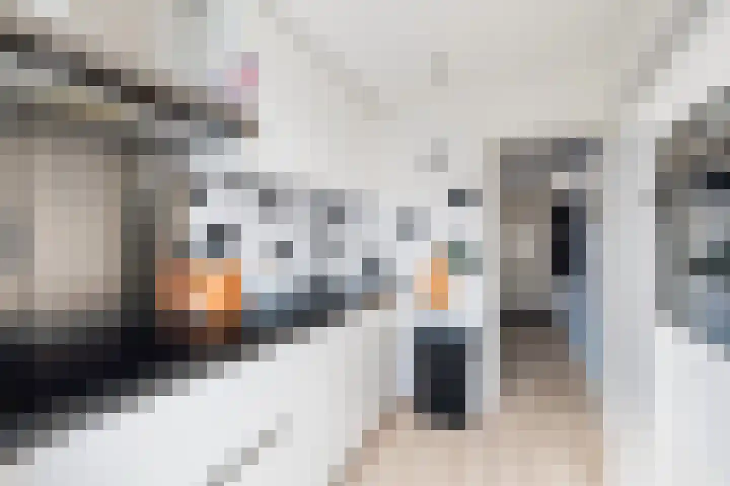 Johan van Oldenbarneveldtstraat 35 Honselersdijk thumbnail 10
