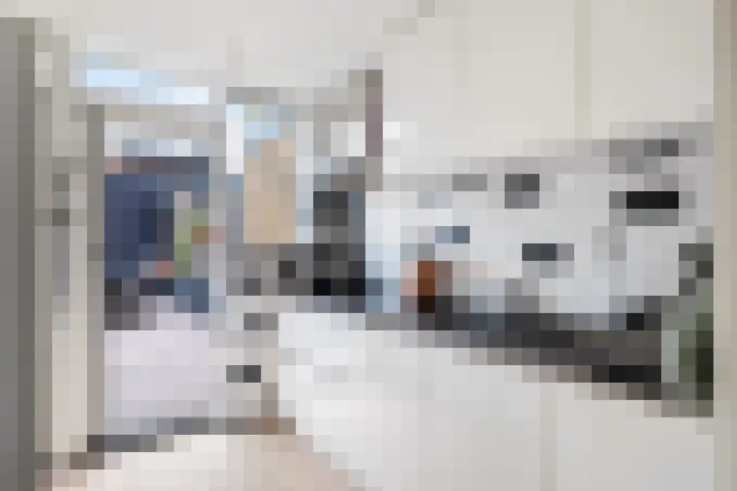 Johan van Oldenbarneveldtstraat 35 Honselersdijk thumbnail 12