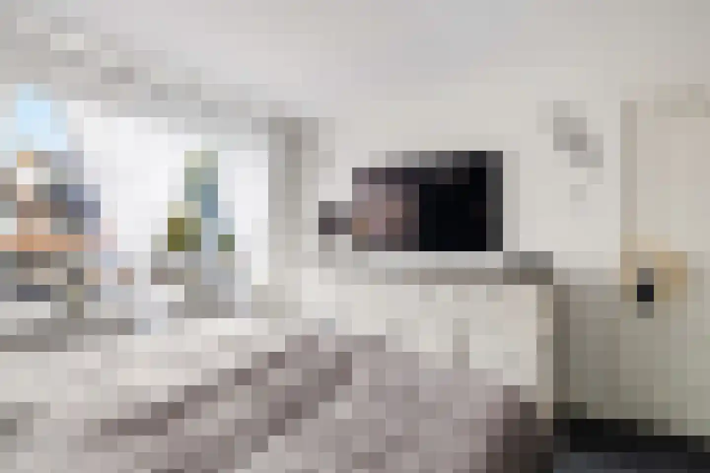 Johan van Oldenbarneveldtstraat 35 Honselersdijk thumbnail 22