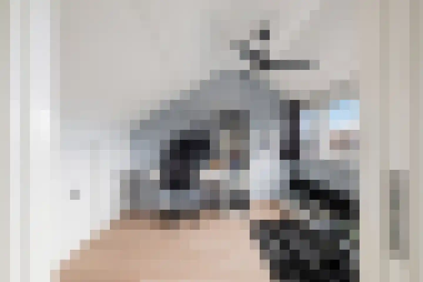 Johan van Oldenbarneveldtstraat 35 Honselersdijk thumbnail 34