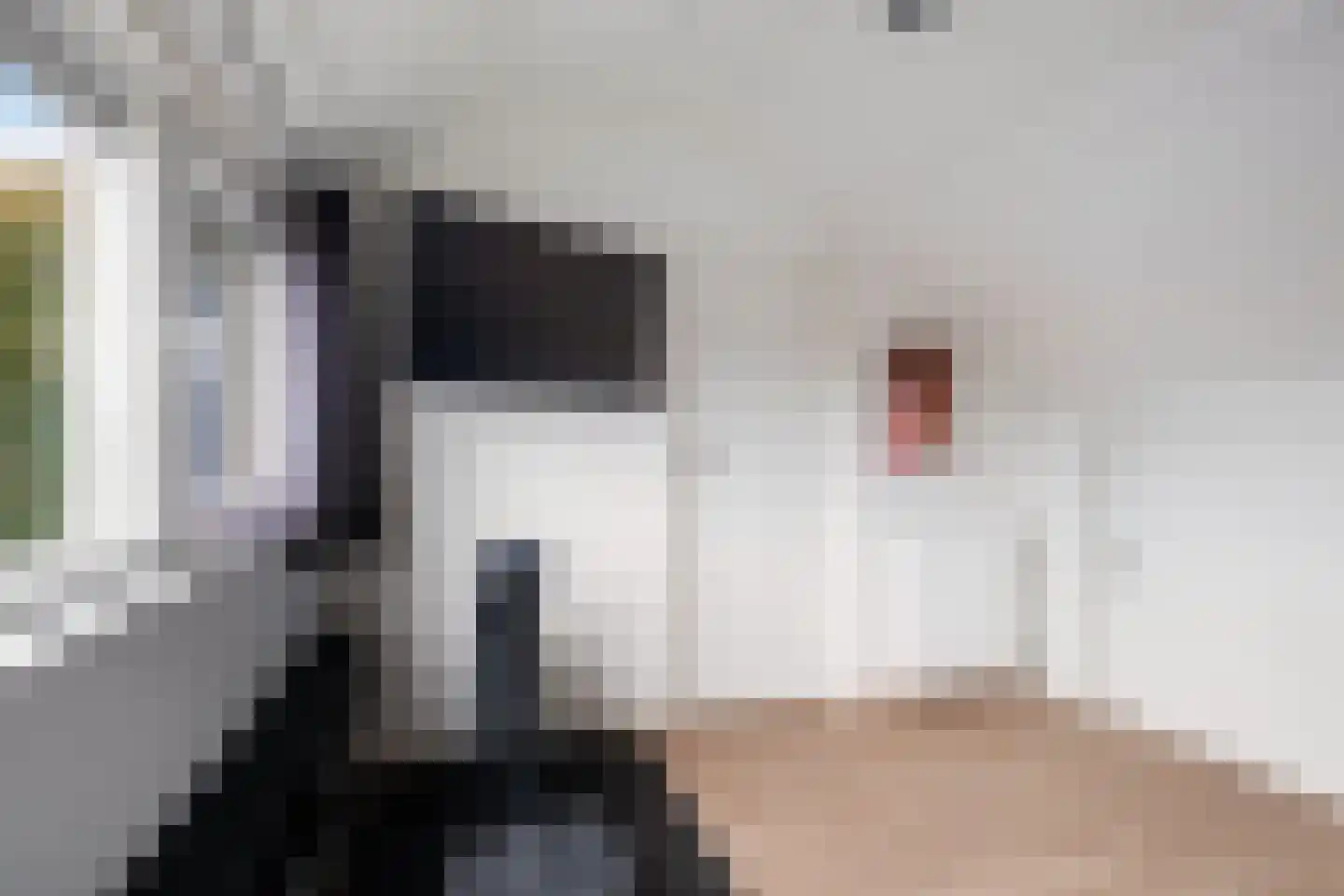 Johan van Oldenbarneveldtstraat 35 Honselersdijk thumbnail 36