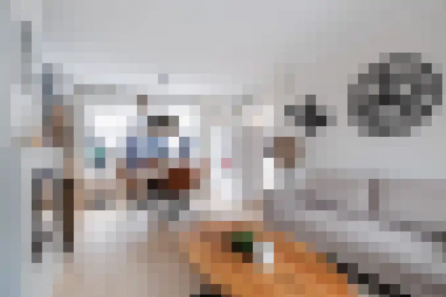 Johan van Oldenbarneveldtstraat 35 Honselersdijk thumbnail 5
