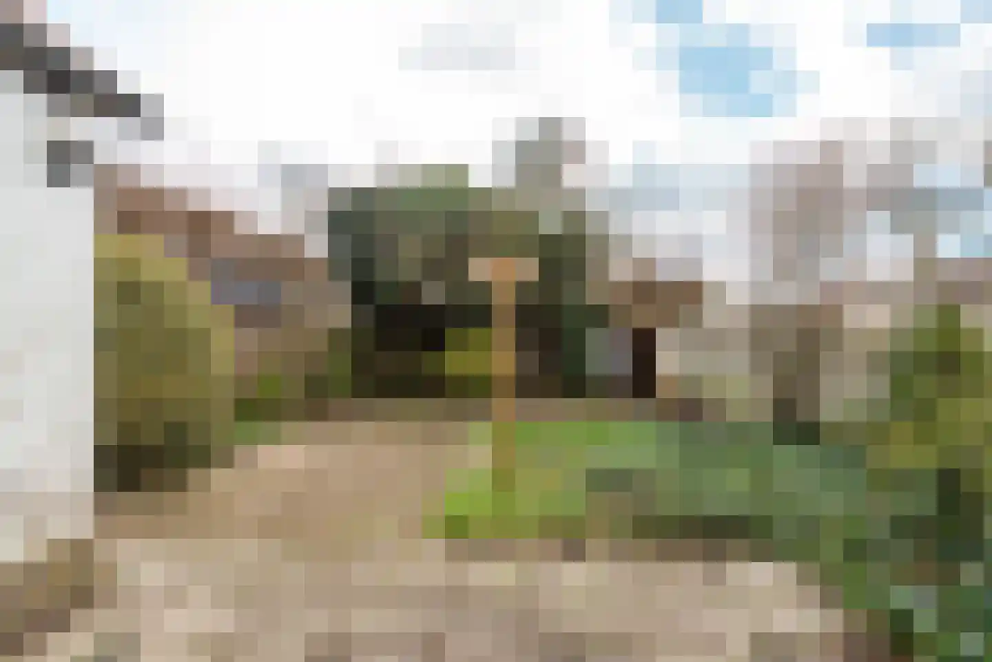 Johan van Oldenbarneveltlaan 108 Zeist thumbnail 13