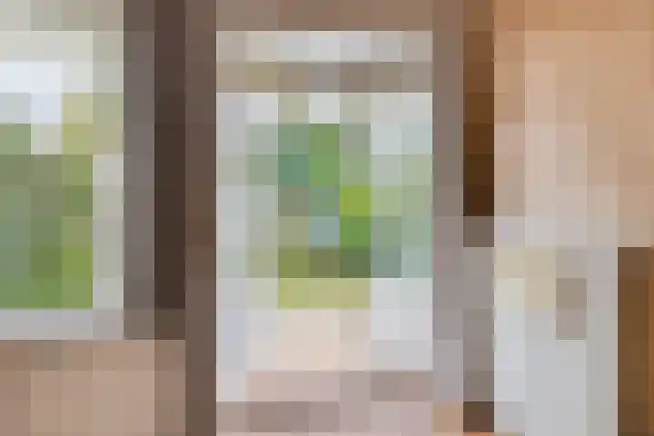 Johan van Oldenbarneveltlaan 112 Den Haag thumbnail 12