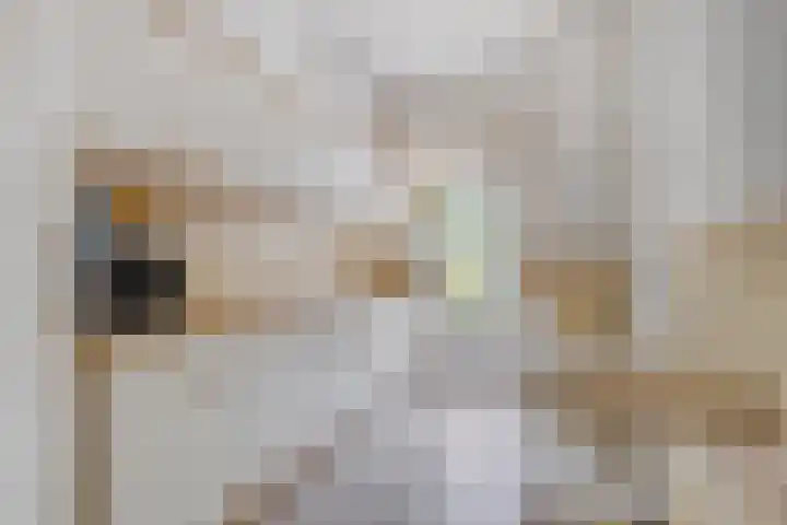 Johan van Oldenbarneveltlaan 112 Den Haag thumbnail 13