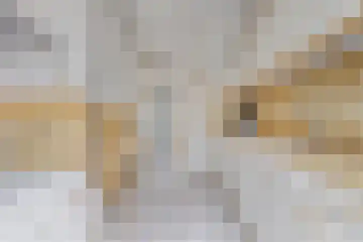 Johan van Oldenbarneveltlaan 112 Den Haag thumbnail 14
