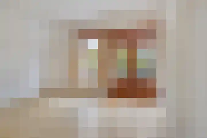 Johan van Oldenbarneveltlaan 112 Den Haag thumbnail 16