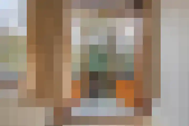 Johan van Oldenbarneveltlaan 112 Den Haag thumbnail 18