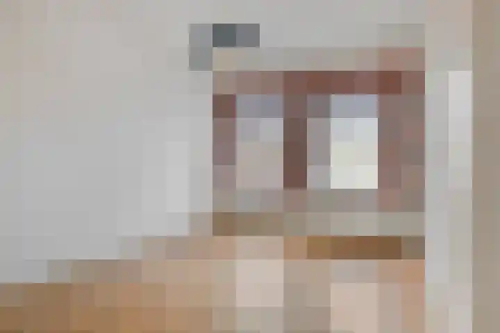 Johan van Oldenbarneveltlaan 112 Den Haag thumbnail 21