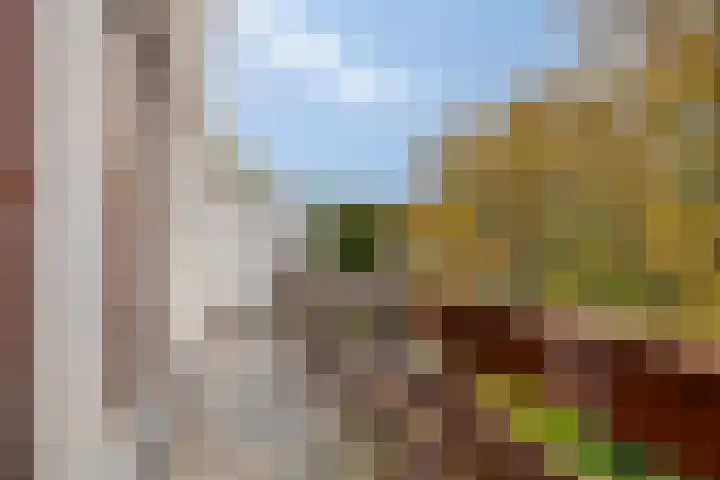 Johan van Oldenbarneveltlaan 112 Den Haag thumbnail 24