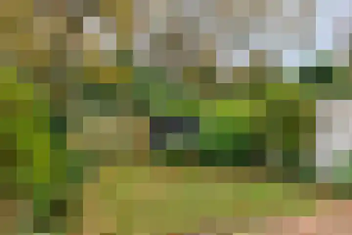 Johan van Oldenbarneveltlaan 112 Den Haag thumbnail 25