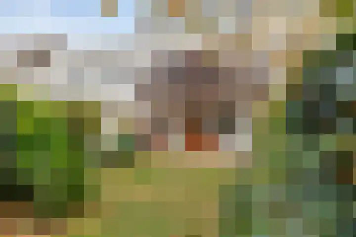 Johan van Oldenbarneveltlaan 112 Den Haag thumbnail 26