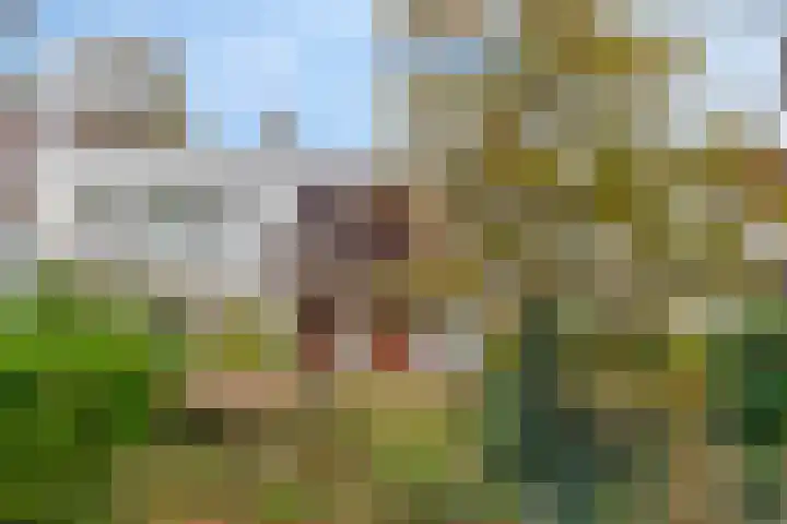 Johan van Oldenbarneveltlaan 112 Den Haag thumbnail 27