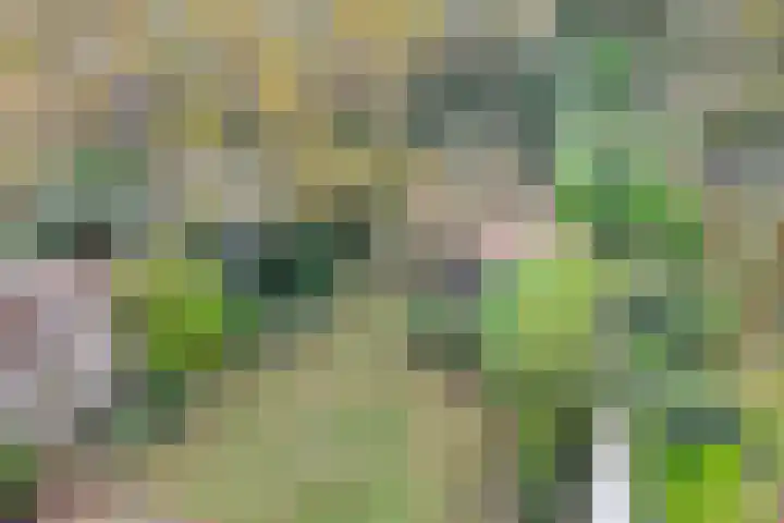 Johan van Oldenbarneveltlaan 112 Den Haag thumbnail 28