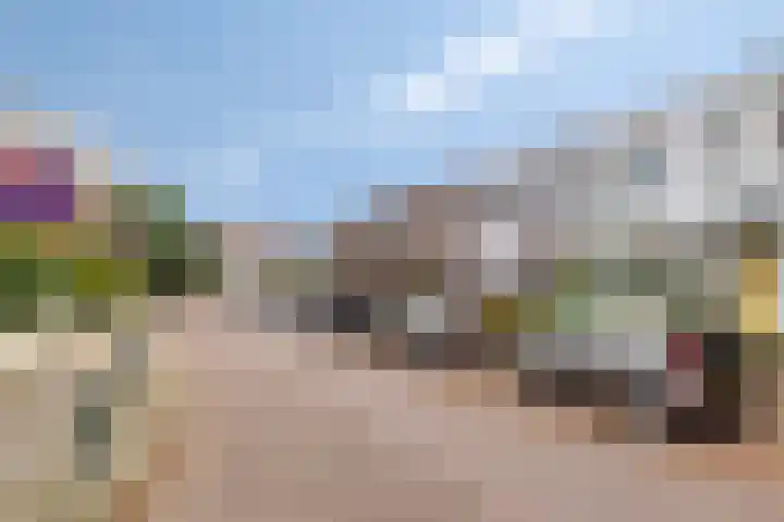 Johan van Oldenbarneveltlaan 112 Den Haag thumbnail 29