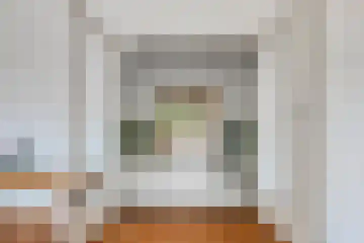 Johan van Oldenbarneveltlaan 112 Den Haag thumbnail 8