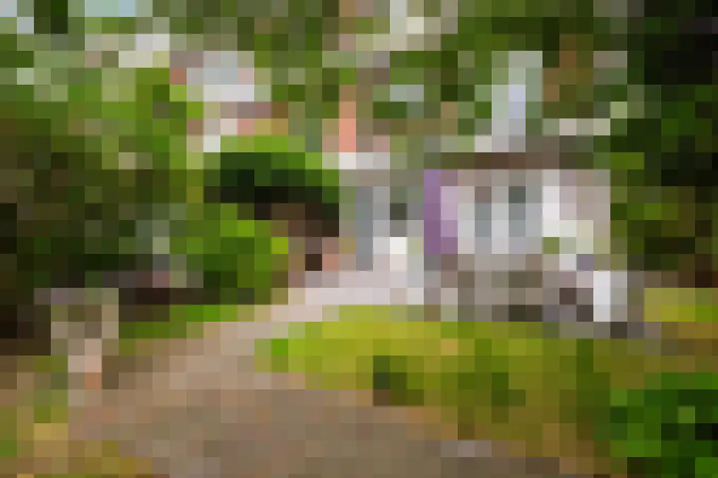 Johan van Oldenbarneveltlaan 12 Den Haag thumbnail 18